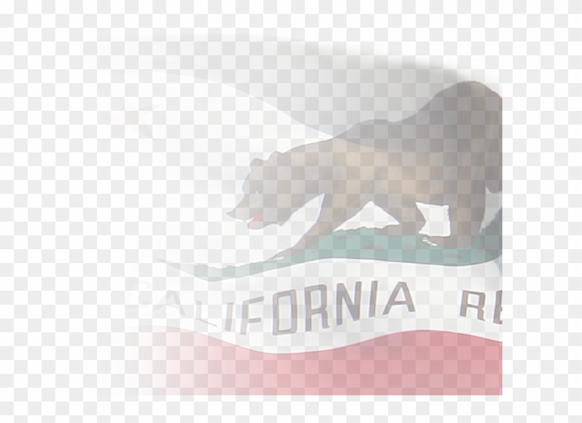 California Facts - California State Transparent Background Clipart #2208355