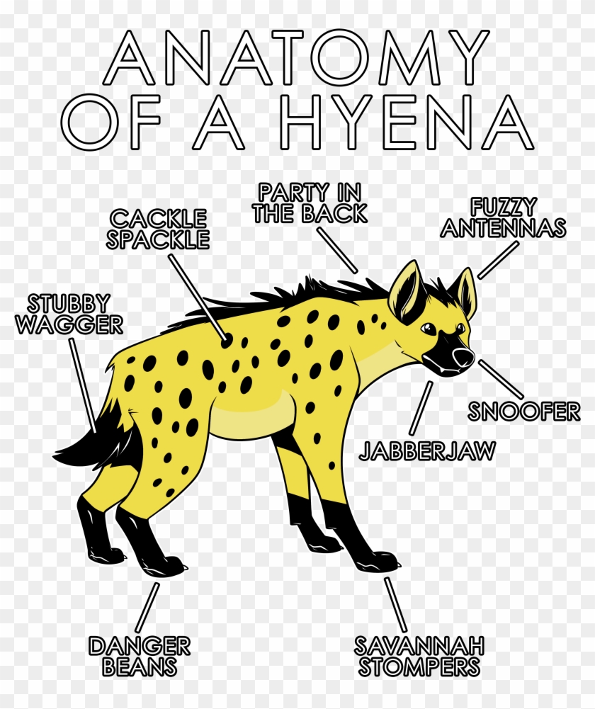 Anatomy Of A Hyena - Blue Hyena Art Clipart