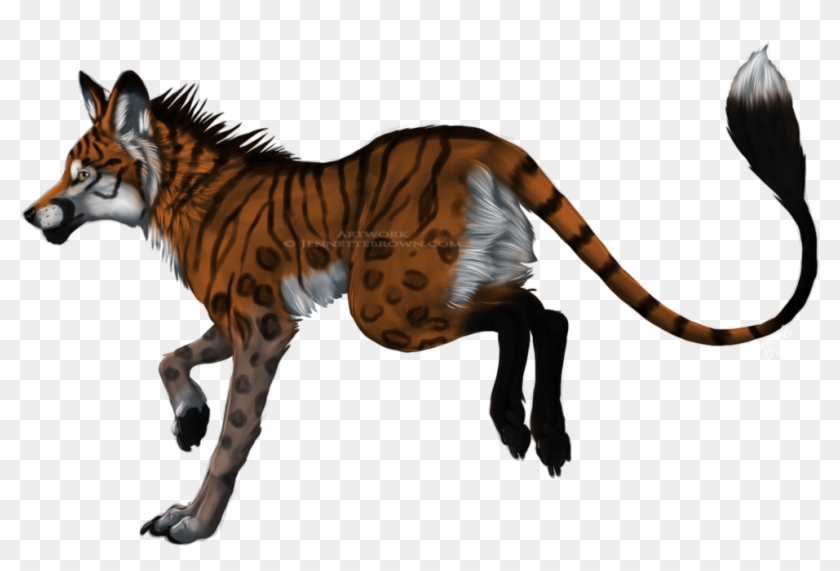 Outline Clip Art Animal - Fox Tiger Hybrid - Png Download