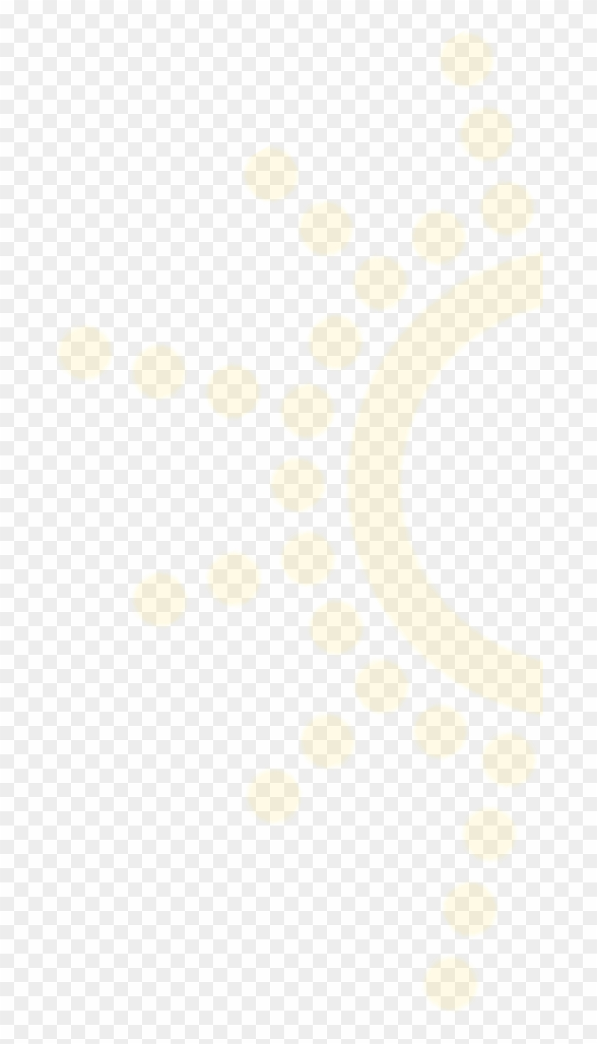 Circle Clipart #2210883