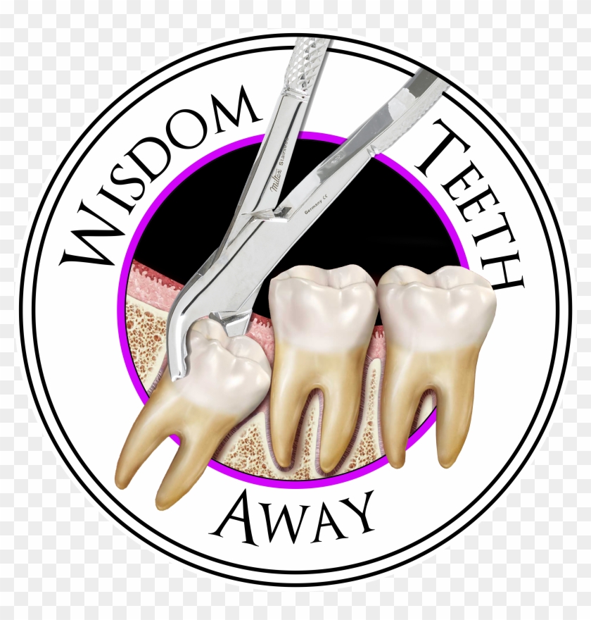 Wisdom Teeth Clipart