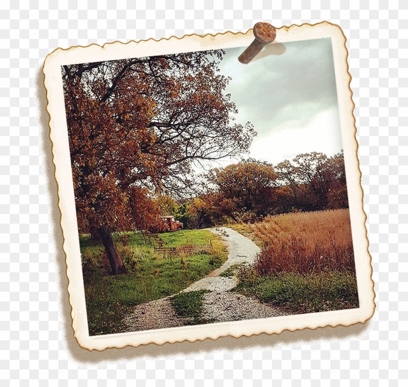 Papas Truck Snapshot - Picture Frame Clipart #2211883