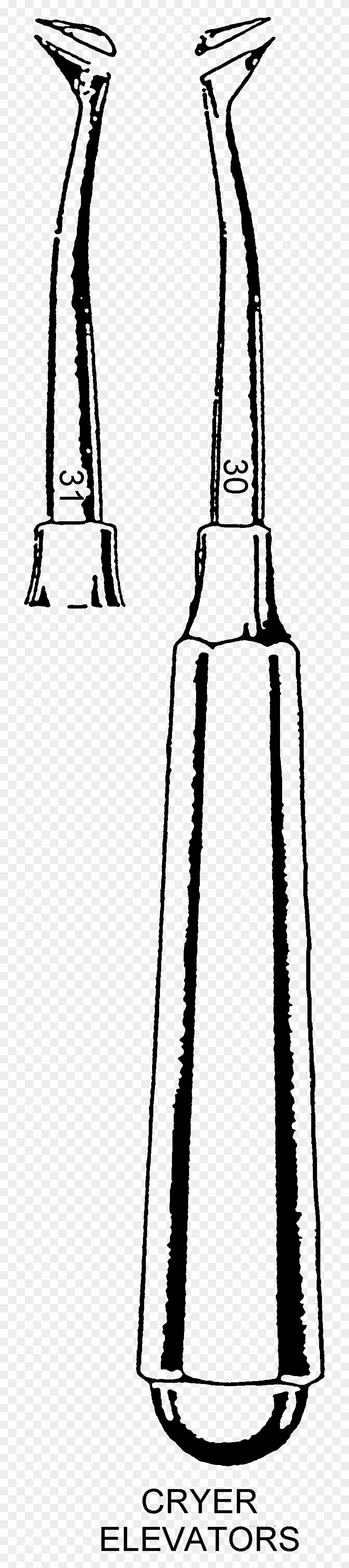 The Beaks Of The Forceps Are Designed To Firmly Grasp - Glass Bottle Clipart #2211945