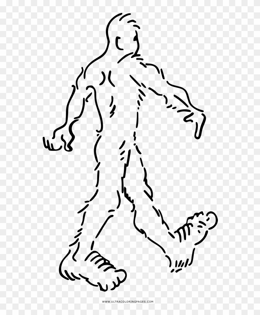 Sasquatch Coloring Page - Illustration Clipart