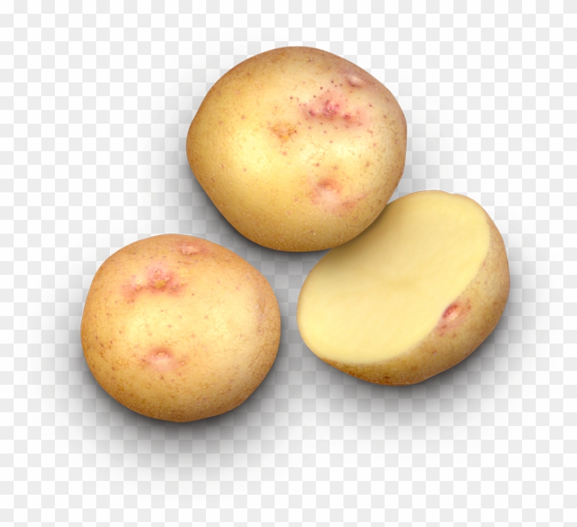 Alaska Bloom Potato - Yukon Gold Potato Clipart #2212202