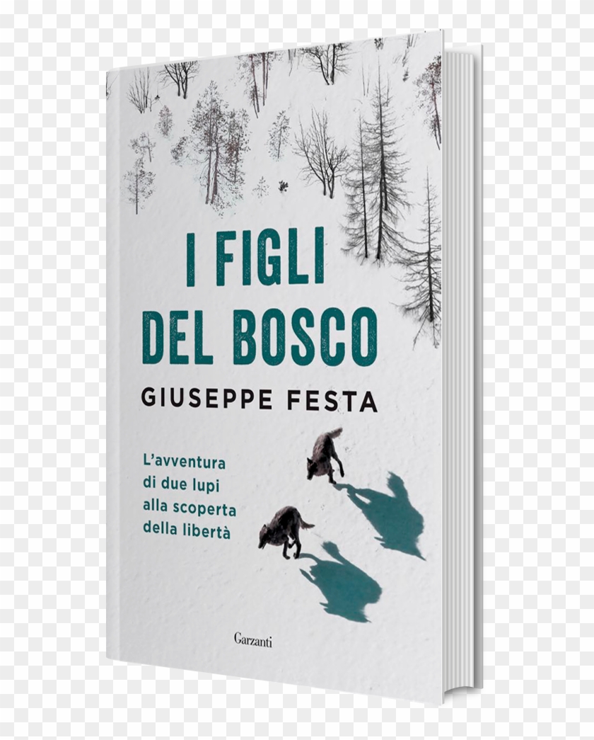 Libri Di Giuseppe Festa Clipart #2213012