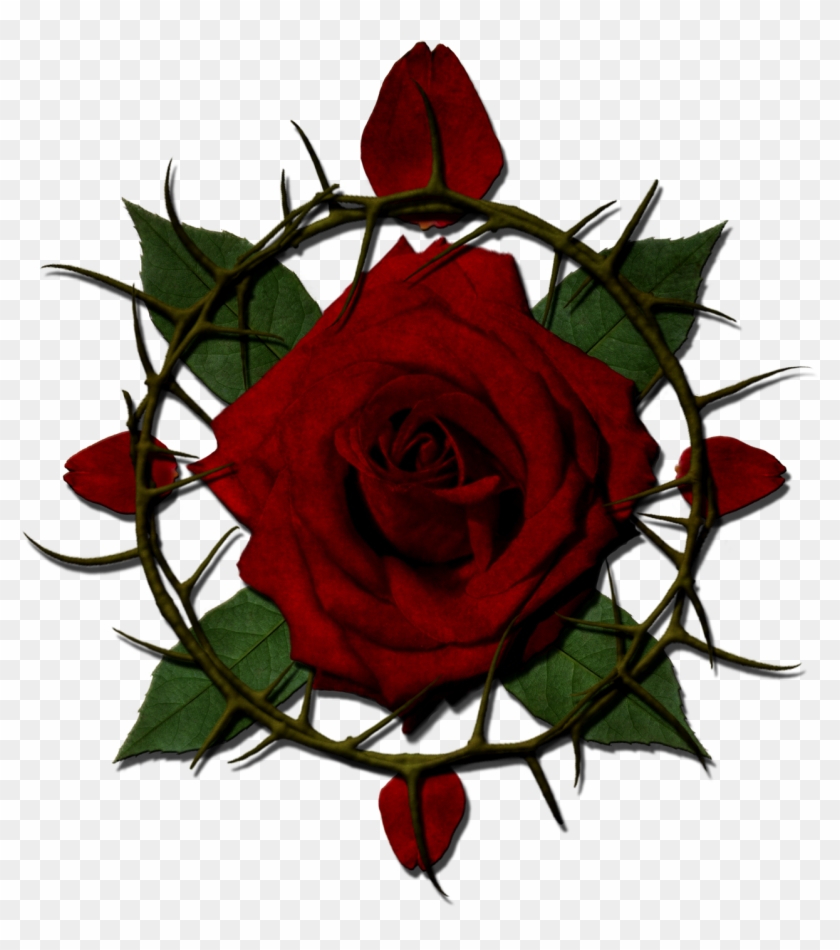 View Forum - Rose With Thorns Png Clipart #2213337