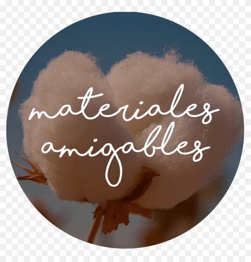 Its Features Are - Calligraphy Clipart #2214153