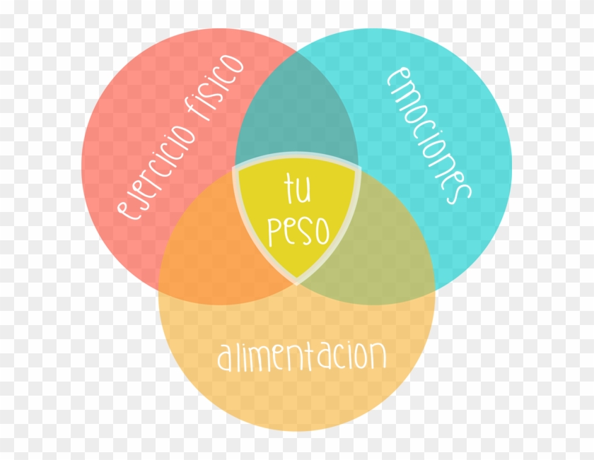 Circulos - Circle Clipart #2215578