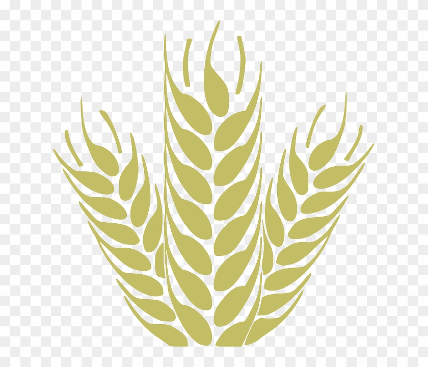 Cereais Desenho Png Clipart