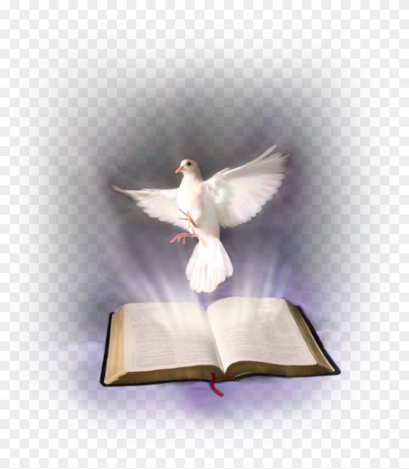 White Dove And The Bible Clipart