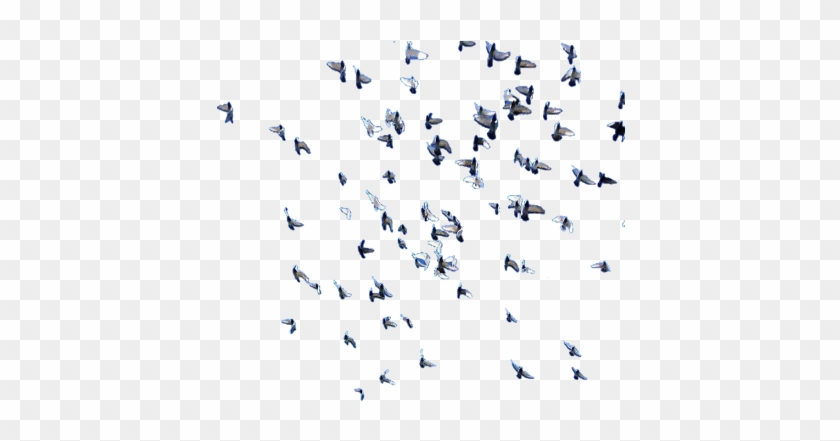Flock Clipart #2215922