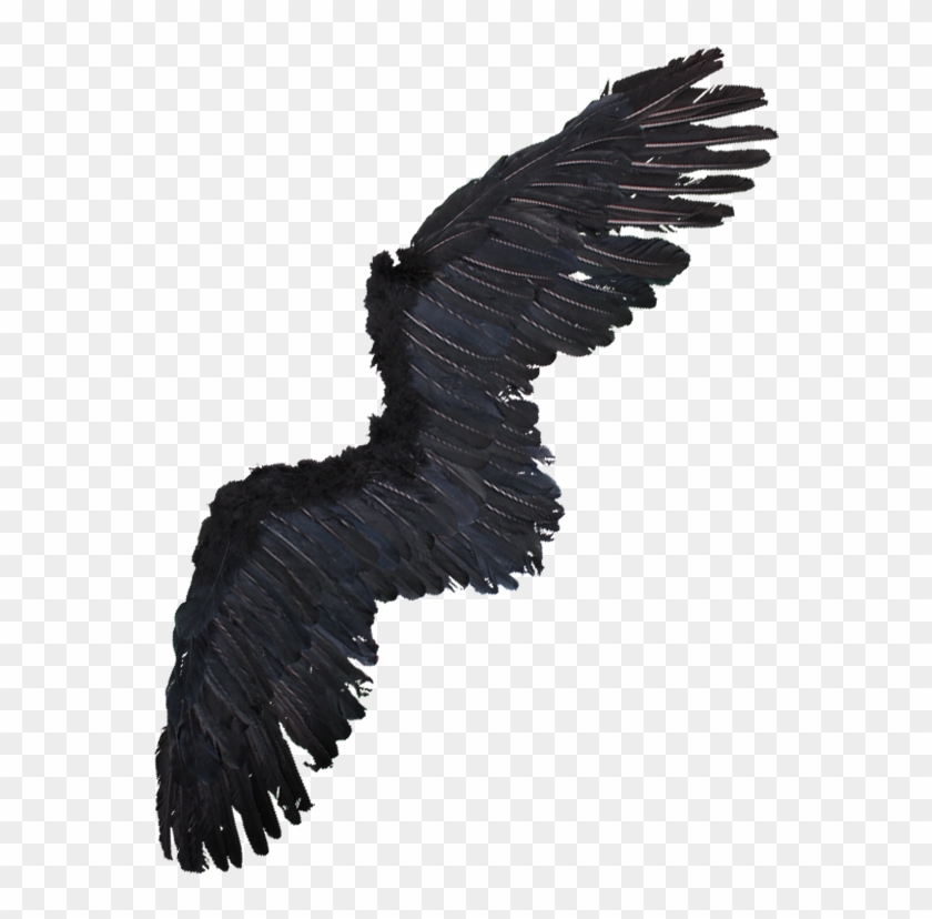 Alas De Aguila Png - Alas De Aguila Disfraz Clipart