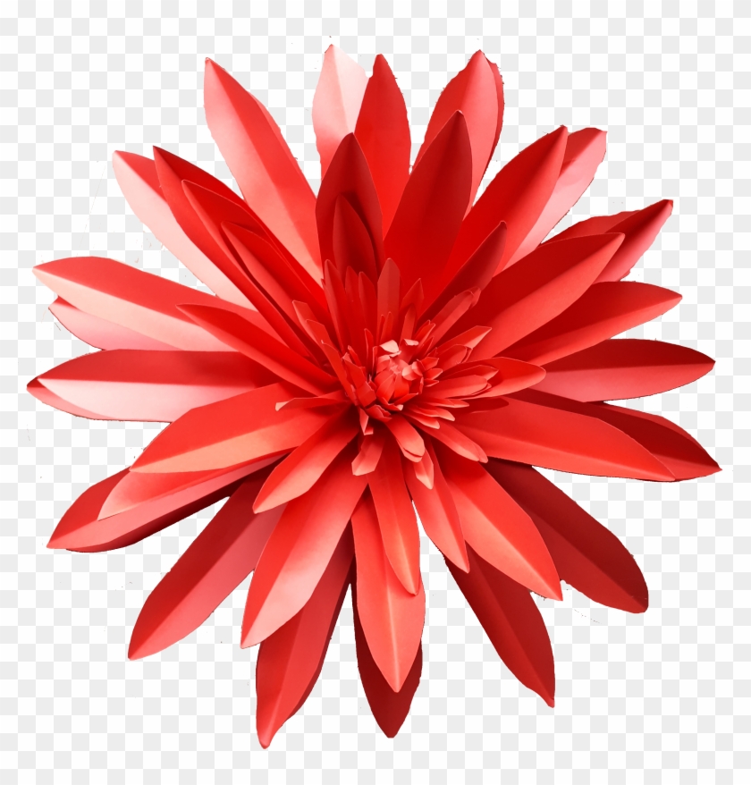 Astra Red 1 Png - Dahlia Clipart #2216240