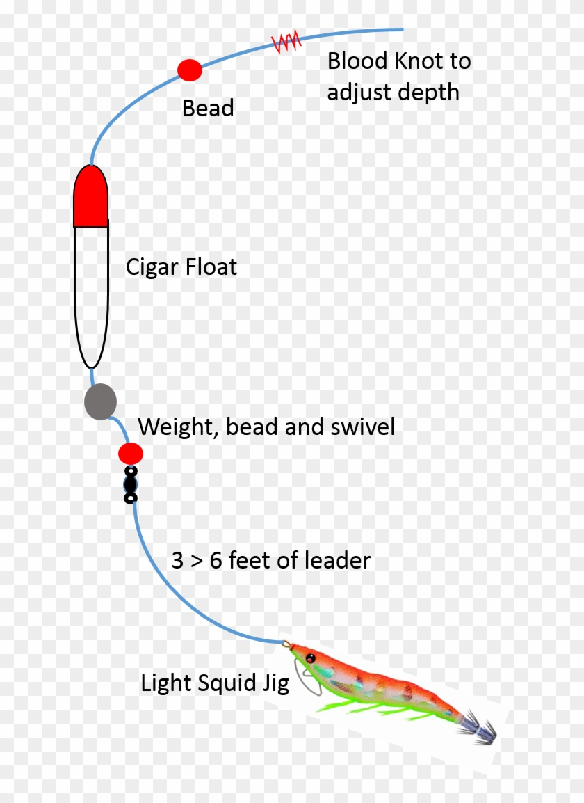 Image Result For Squid Rigs Fishing - Squid Float Rig Clipart