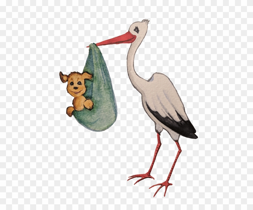 Growing Family To Find A Schedule That Caters To Your - Black Stork Clipart