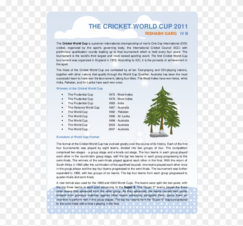 Pdf - Colorado Spruce Clipart #2218479