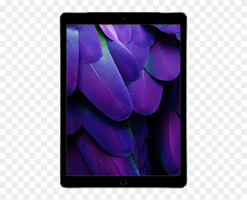 Ipad® Pro - Eb Games Nz Refurbished Ps4 Pro Clipart