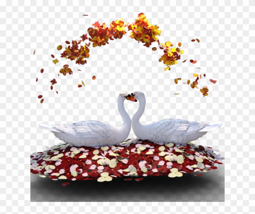 Love Png Vectors Psd And For Free - Imagenes De Cisnes De Amor Clipart #2220604