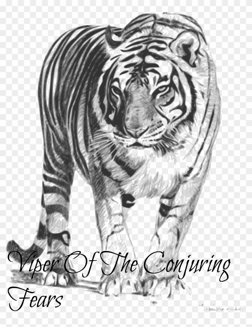 White Tiger Png Transparent Images - Bengal Tiger Black And White Clipart@pikpng.com