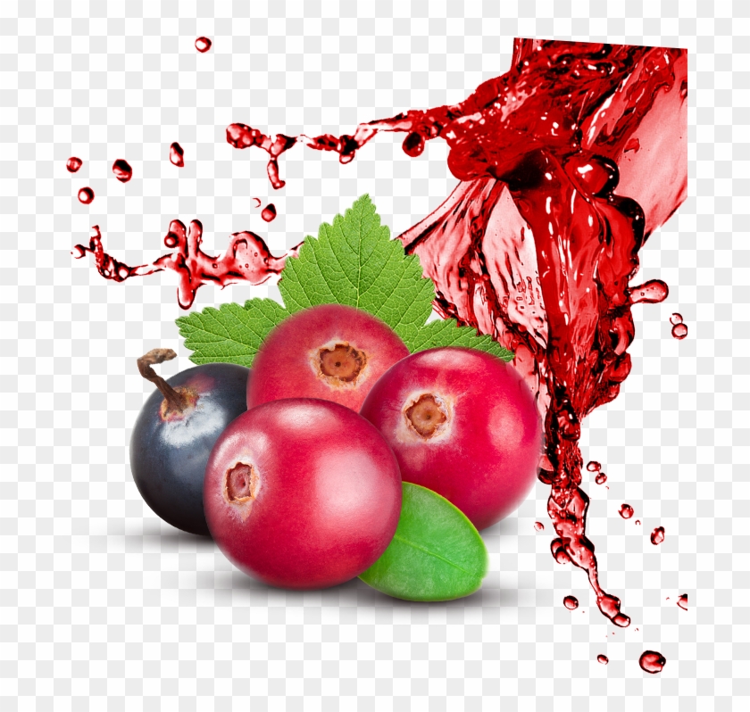 Cranberry & Blackcurrant - Black Currant Juice Splashing Clipart