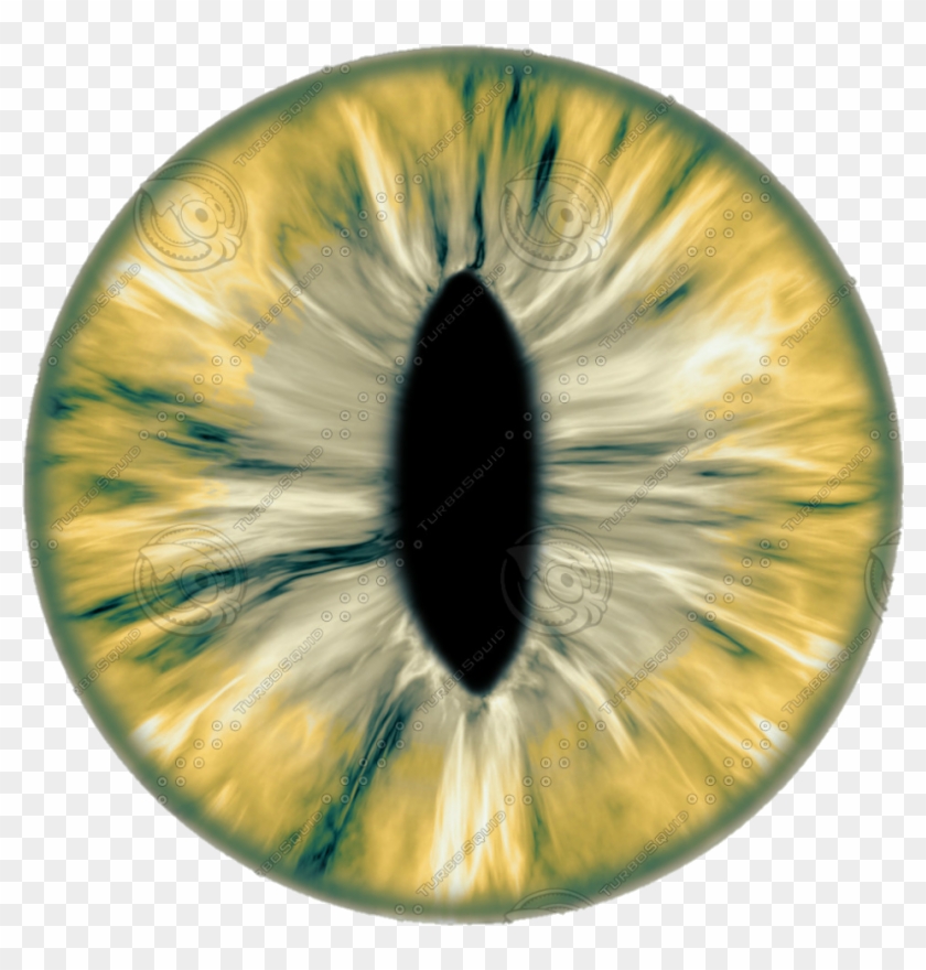 New 20 Eye Lens Png For Editing Eyes Lens Png Download - Eye Texture Clipart