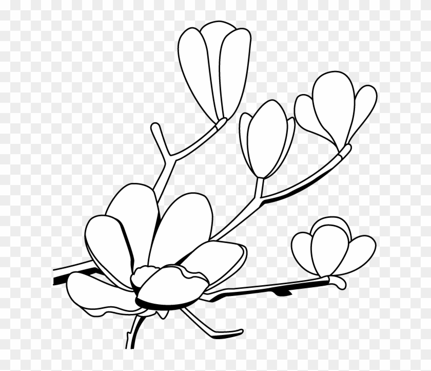 633 X 642 5 0 - Balloon Clipart