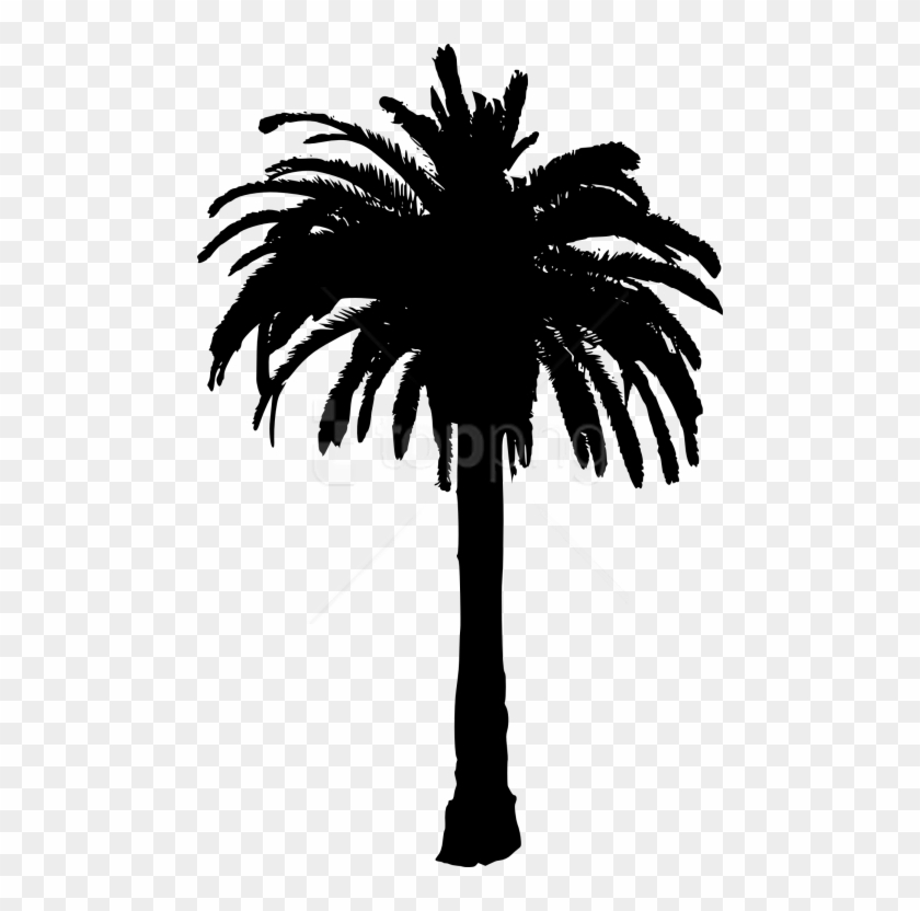 Free Png Palm Tree Png Images Transparent - Date Palm Tree Silhouette Clipart
