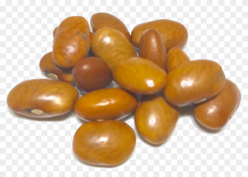 Shady Side Farm - Peanut Clipart #2224303