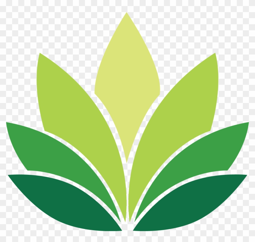 Lotus Pattern Clipart