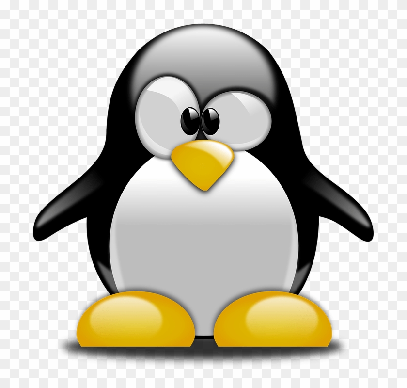 Penguin Tux Animal Free Vector Graphic On Pixabay - การ์ตูน นก เพนกวิน น่า รัก Clipart
