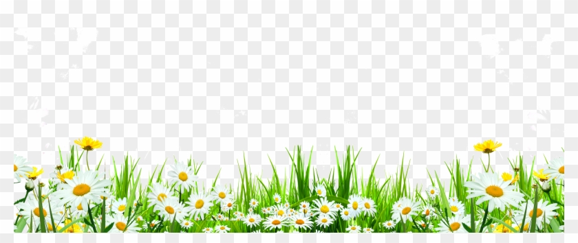 Svg Library Flower Download Icon Cute Flowers Roadside - Ромашки Клипарт Clipart #2226465