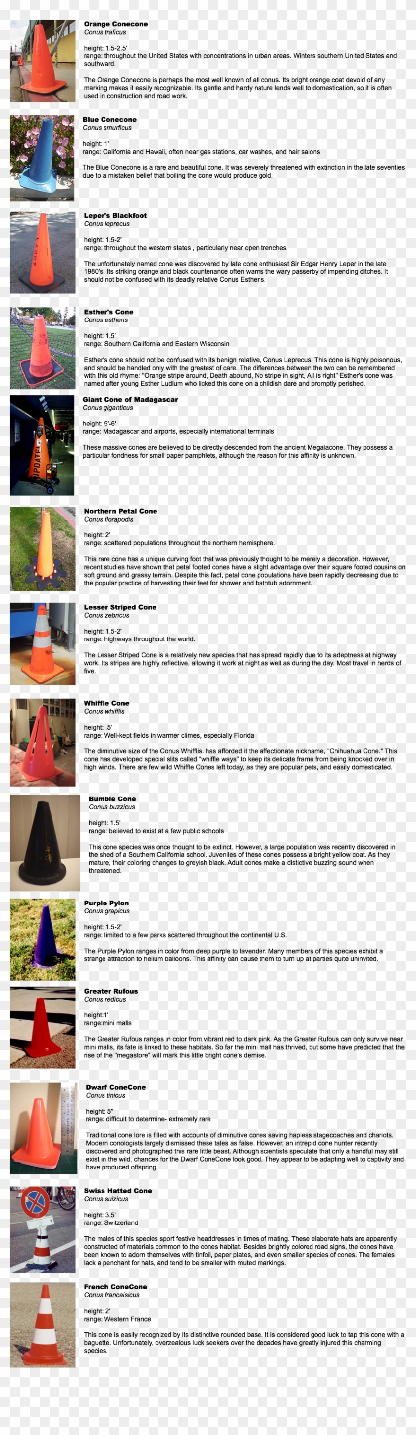 Traffic Cone Preservation Society - Triangle Clipart #2228105