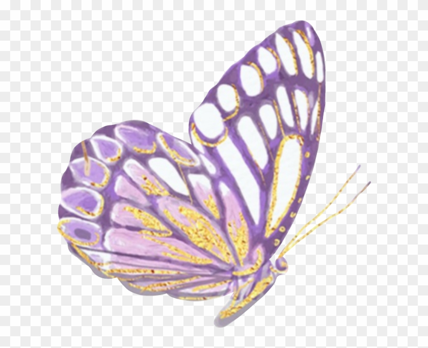 Butterfly Butterflywings Mariposa Glitter Sparkly Color - Swallowtail Butterfly Clipart