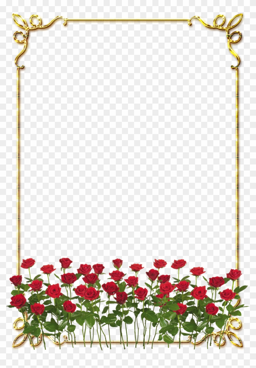 Frames Png Douradas Com Rosa Vermelhas - Rose Border Flower Design Clipart #2230567