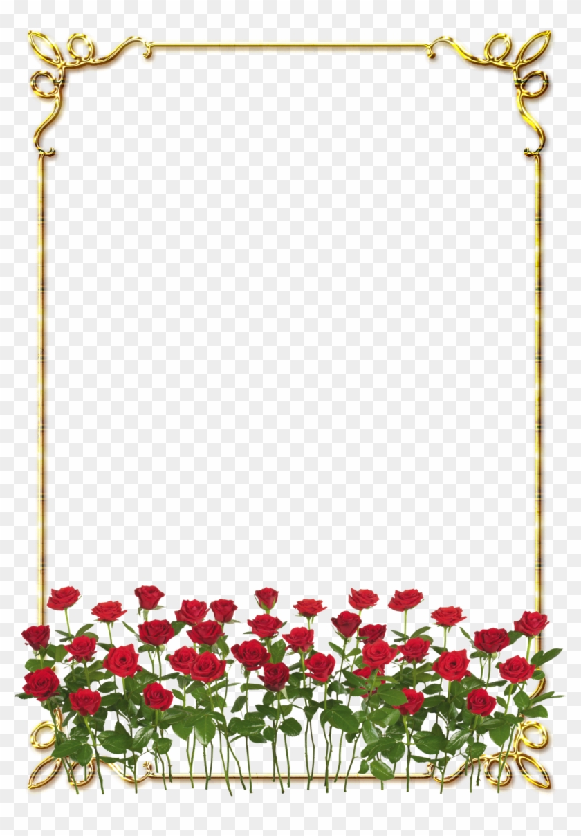 Frames Png Douradas Com Rosa Vermelhas - Rose Border Flower Design Clipart