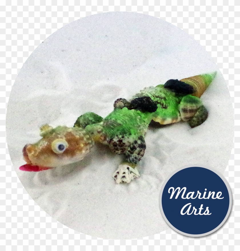 Shellasic Park - Shell Crocodile - De Marchi Clipart #2231376