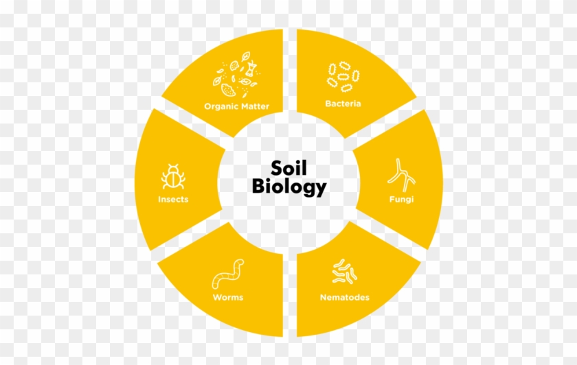 Bound Up Inside Bacteria Is Released And The Lawn Looks - Art Gallery Logo Png Clipart #2231716