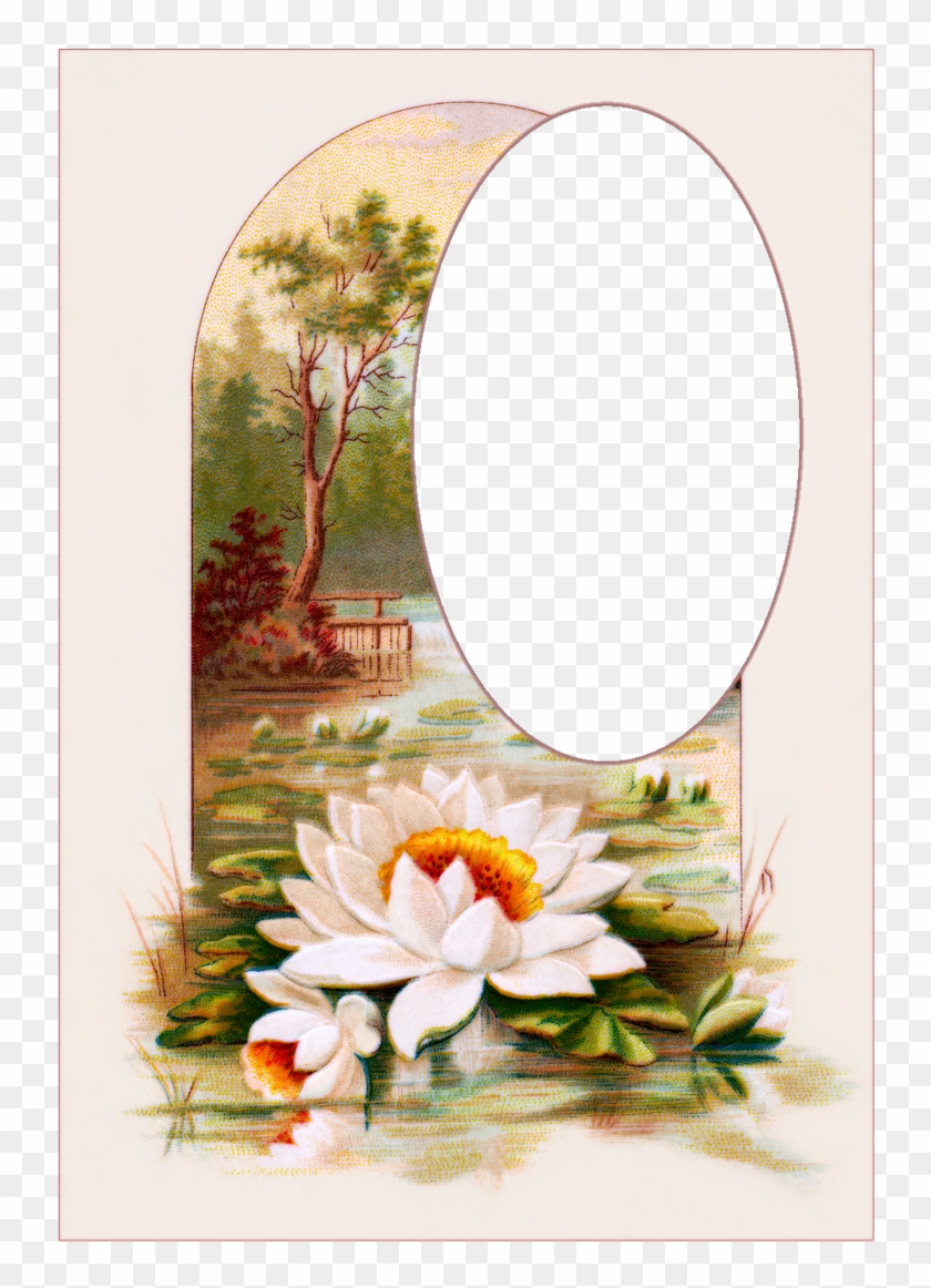 Lily - Stand Still And See The Salvation Clipart
