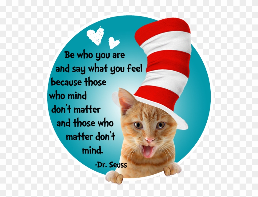 Sheesh, This Isn't What I Expected At All For Dr - Dr Seuss Quotes Clipart #2232359