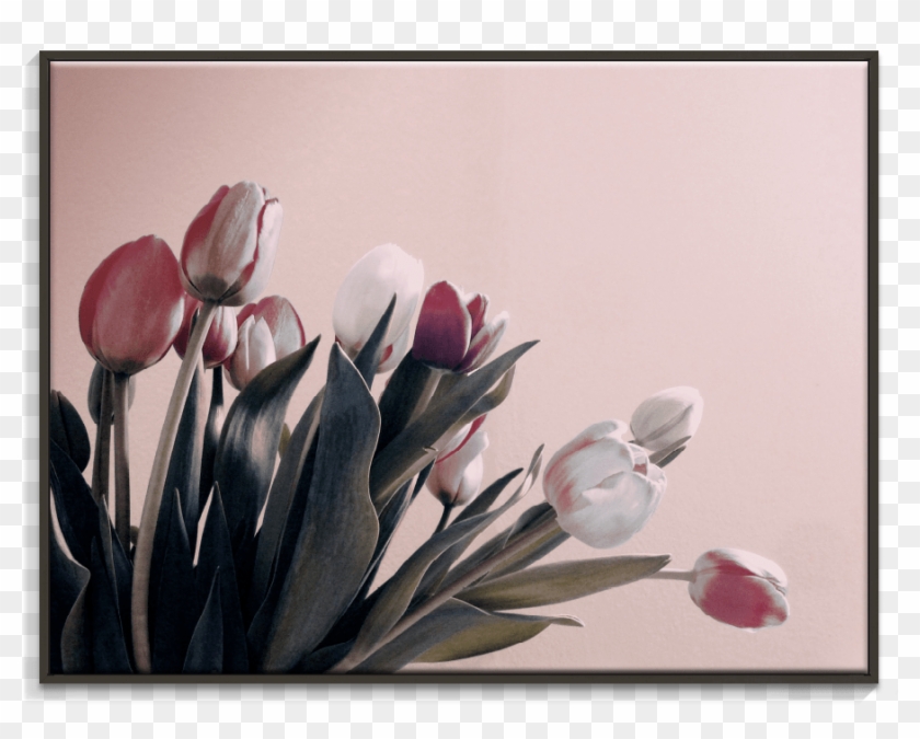 119al Ffb Vintage Tulips - قسم نخور به جونم که بی قسم میدونم Clipart #2233608