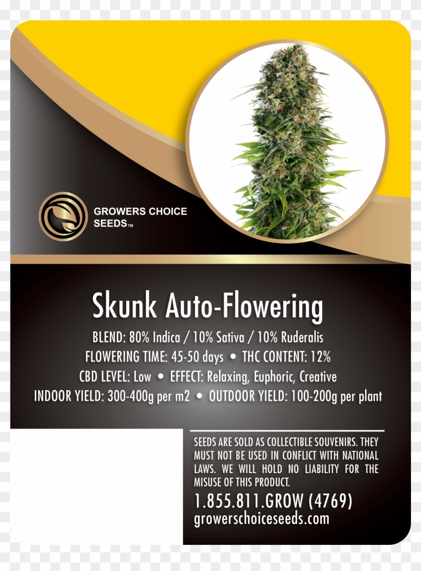 Home » Products » Skunk Auto-flowering Feminized Cannabis Clipart #2233928