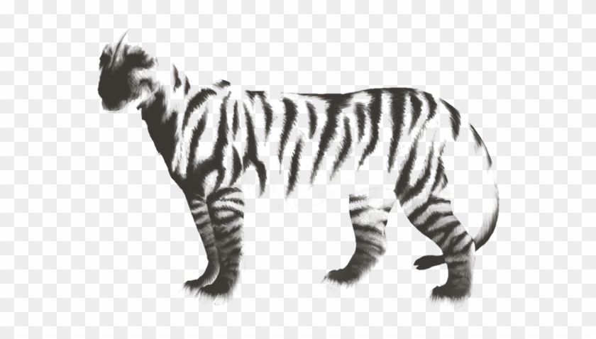 Zebra Clipart