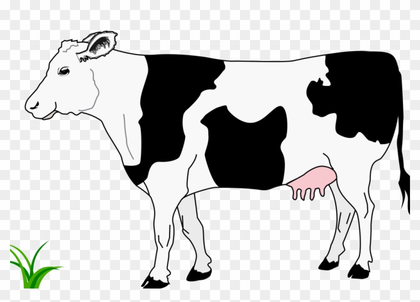 Banner Transparent Stock Top Of In Pictures - Black And White Image Of Cow Clipart #2236339