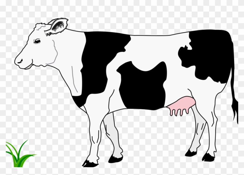 Banner Transparent Stock Top Of In Pictures - Black And White Image Of Cow Clipart
