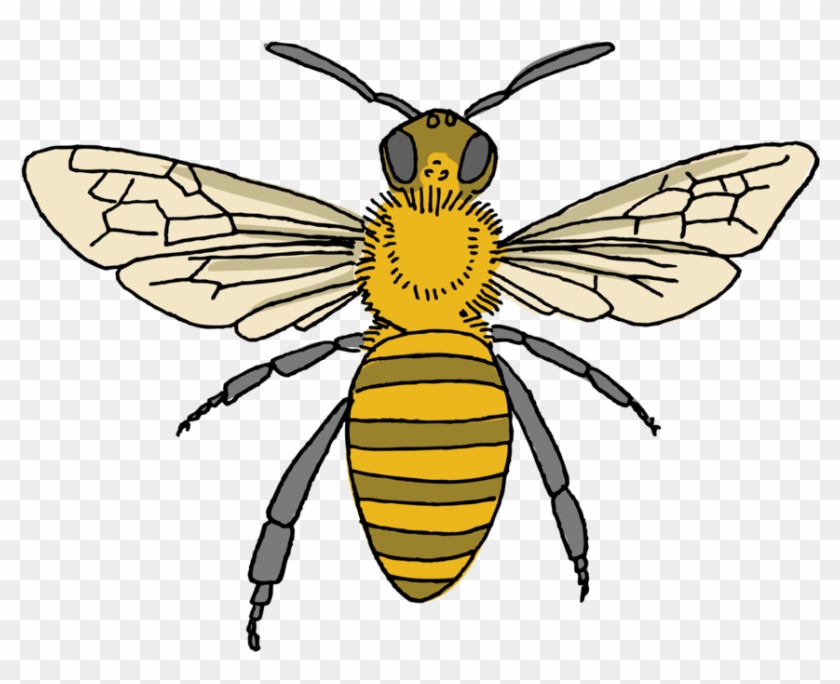 Honey Bee Tattoo Clipart