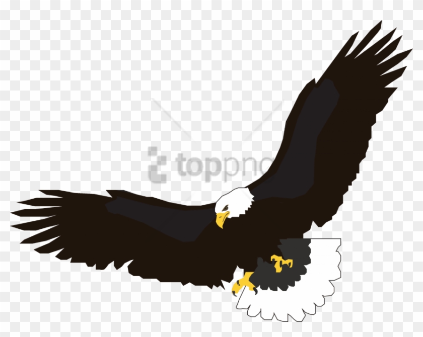 Free Png Download Eagle Flying Png Images Background - Transparent Eagle Clipart