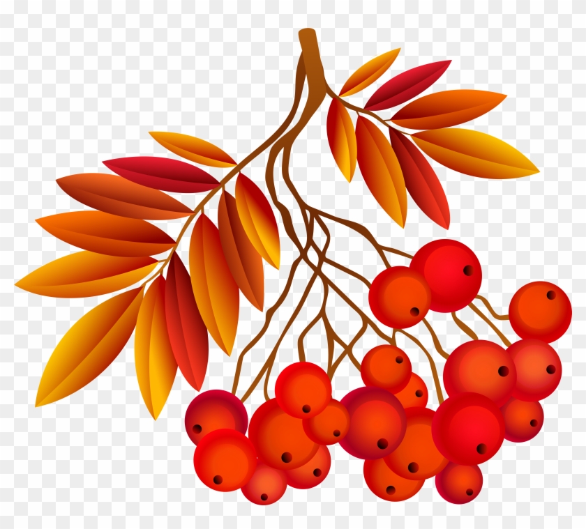 Autumn Plant Png Image Gallery Yopriceville High Clipart #2237186