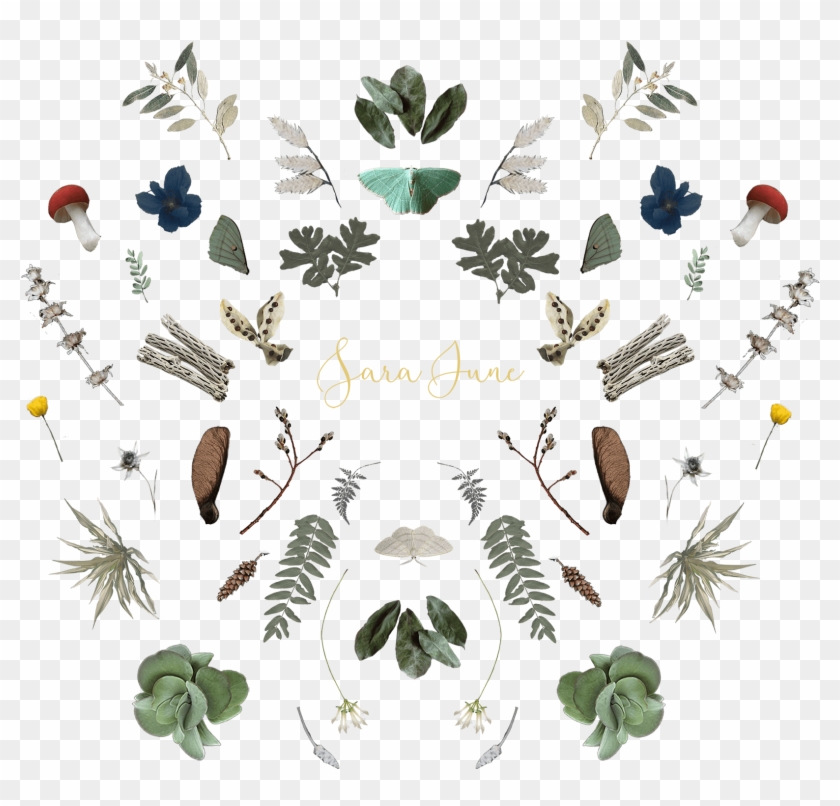 Omg-mushrooms Clipart #2238990