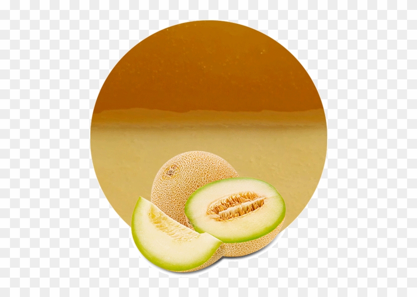 Honeydew Melon Concentrate - Honeydew Clipart